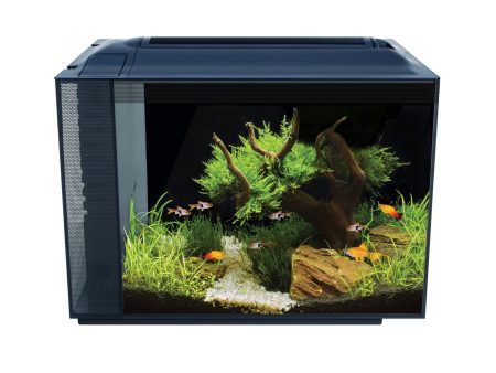 Aquarium équipé SPEC Fluval, noir, 60 L (16 gal US) Online now