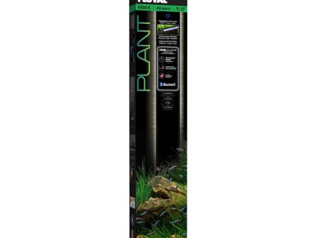 Rampe d’éclairage à DEL Plant Spectrum Fluval, 32 W, 61-85 cm (24-34 po) Online Hot Sale