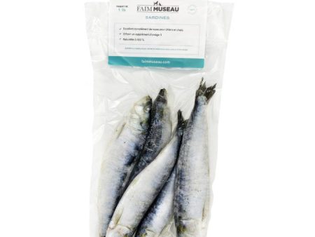 Nourriture crue pour chien Faim Museau - Sardines Sauvages Hot on Sale