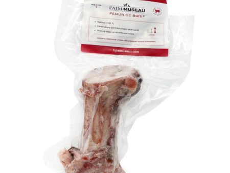 Nourriture crue pour chien Faim Museau - Fémur de Bœuf Moyen Hot on Sale