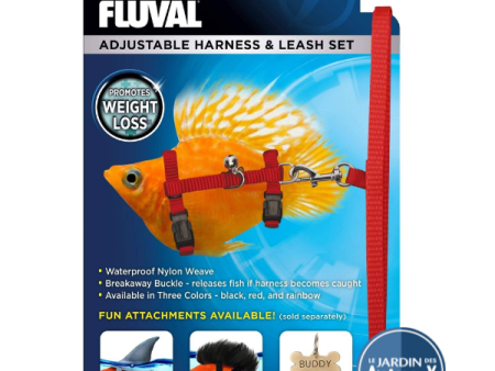 Harnais pour poisson Super confortable pour la nage en eau libre - Fluval Online Hot Sale