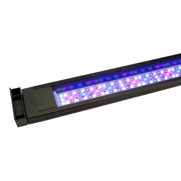 Rampe d’éclairage à DEL Marine Spectrum Fluval Sea, 32 W, 61 à 85 cm (24 à 34 po) For Cheap