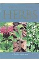 A Pocket Guide to Herbs For Cheap