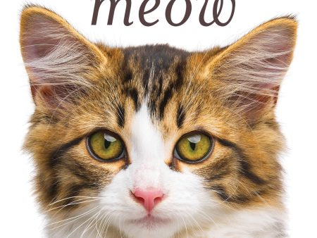 You Had Me at Meow Supply