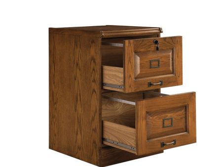 Rudd 2-Drawer File Cabinet Warm Honey -5317N Hot on Sale