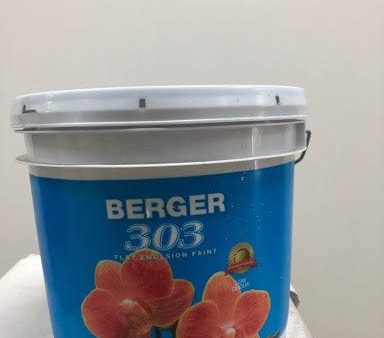 BERGER 303 FLAT EMULSION 1 GALLON PAINT LEISURE WALK ANTI-FUNGAL AND ALGAL DRIES IN  MINUTED VERY LOW ODOUR FOR INTERIOR AND EXTERIOR USE Online now